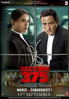 刑法典第375条 Section 375封面图
