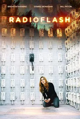 电磁脉冲 Radioflash封面图