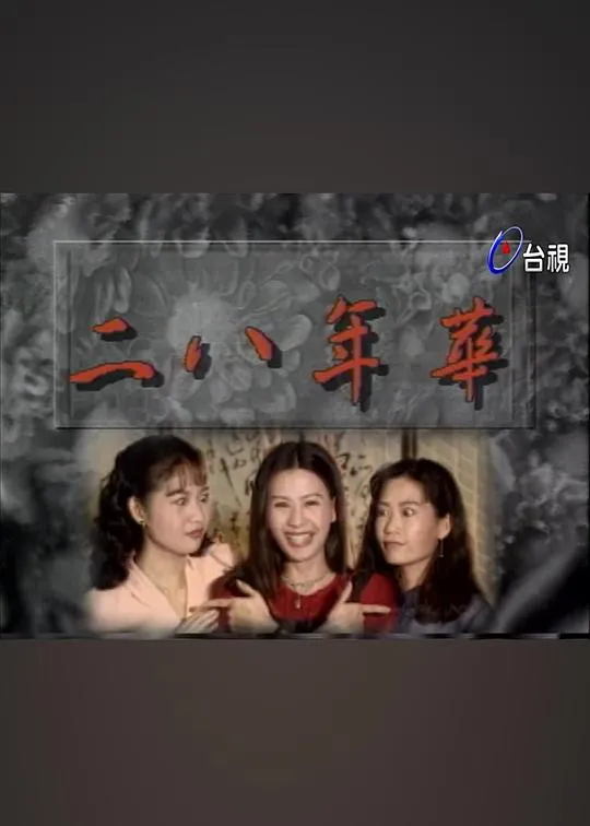 二八年华封面图