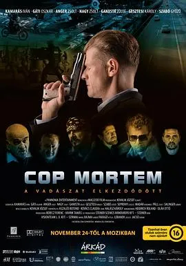 怒火警探 Cop Mortem封面图