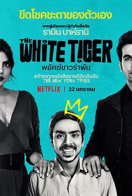 白虎 The White Tiger封面图