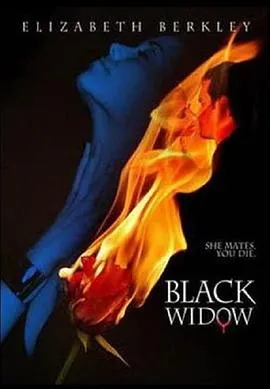 黑寡妇 Black Widow封面图