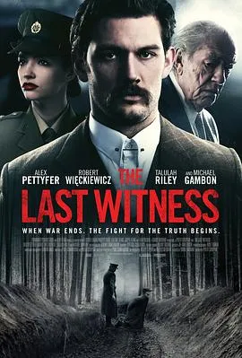 最后证人 The Last Witness封面图