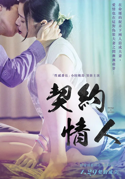 契约情人封面图
