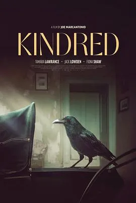 亲属关系 Kindred封面图