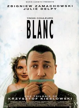 蓝白红三部曲之白 Trois couleurs: Blanc封面图