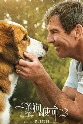 一条狗的使命2 A Dog&amp;amp;amp;#39;s Journey封面图