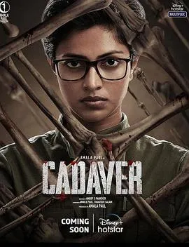 法医缉凶 Cadaver封面图