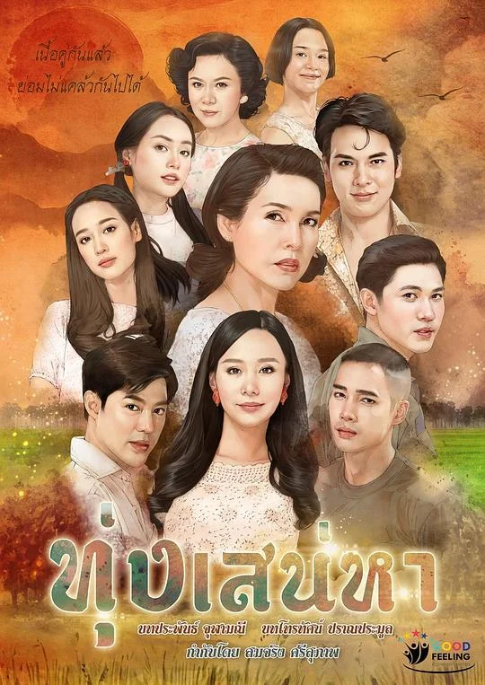 爱的领域封面图