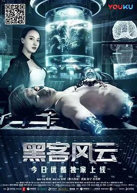 黑客风云封面图