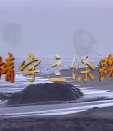 情字这条路封面图