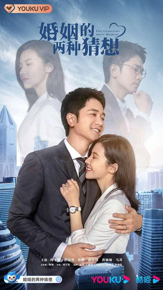 婚姻的两种猜想DVD版封面图