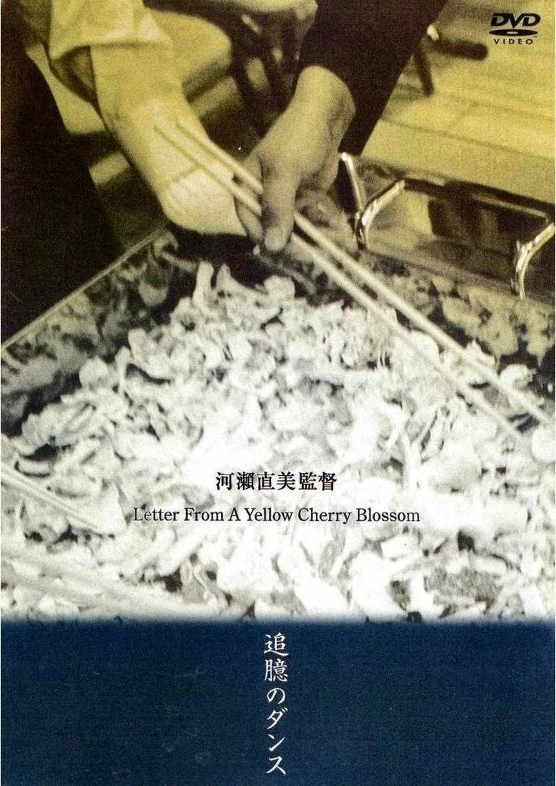 黄樱花的来信封面图