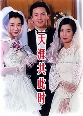 天涯共此时封面图