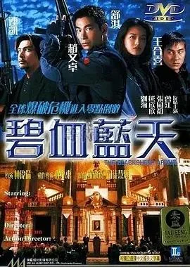 碧血蓝天封面图