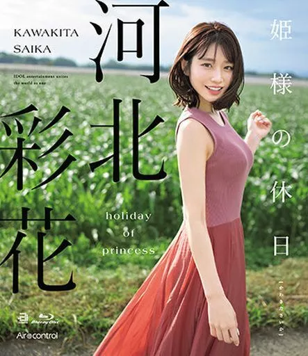 河北彩花-公主的假日封面图