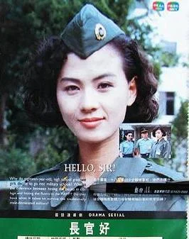 长官好封面图