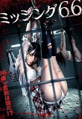 失踪少女66封面图