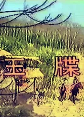 玉牒封面图