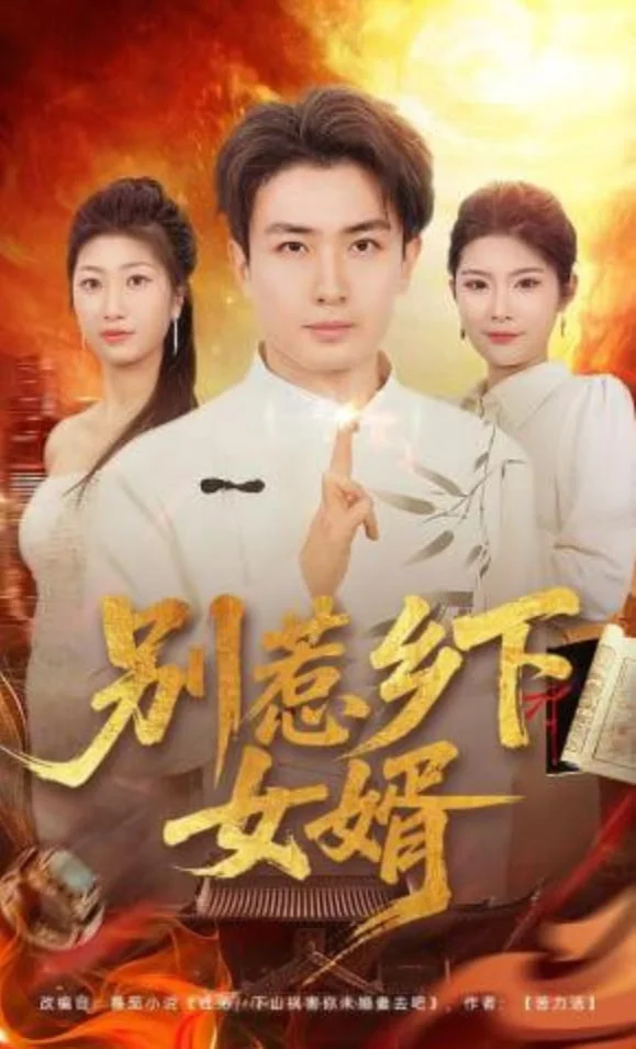 别惹乡下女婿封面图