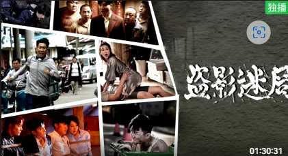 盗影迷局封面图