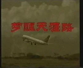 梦醒天涯路封面图