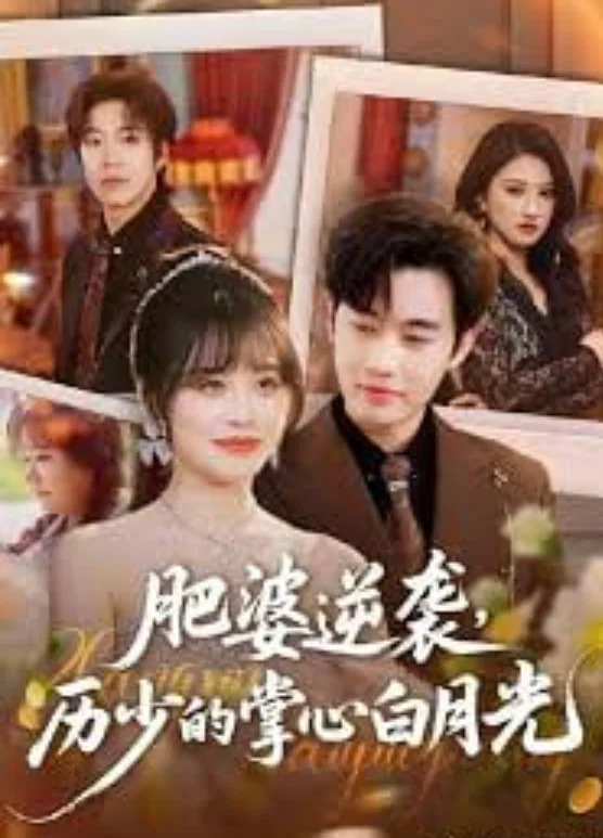 肥婆逆袭，厉少的掌心白月光封面图
