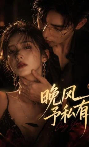 晚风予私有封面图