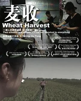 麦收封面图