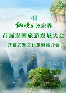 首届湖南旅游发展大会开幕式暨文化旅游推介会封面图