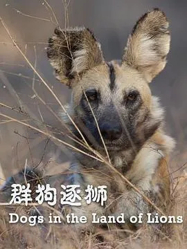 群狗逐狮封面图