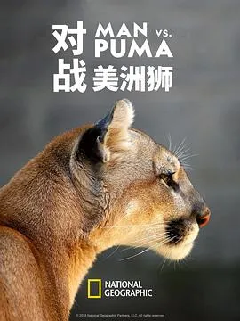 对战美洲狮封面图